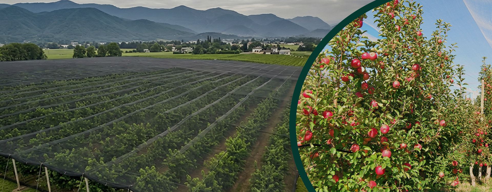Farm's Ecosystem